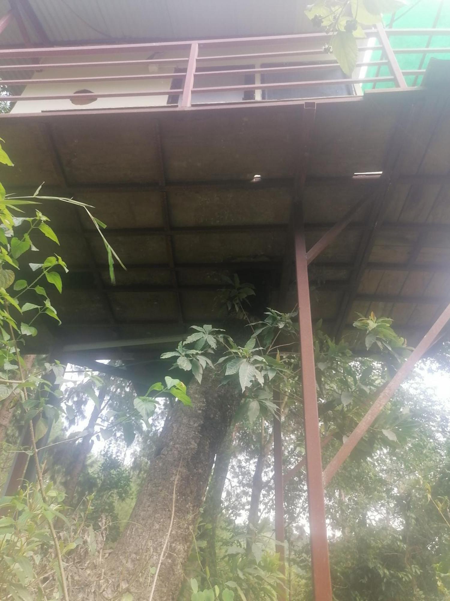 Jungle Crown Organic Homestay Nagarkot Quarto foto