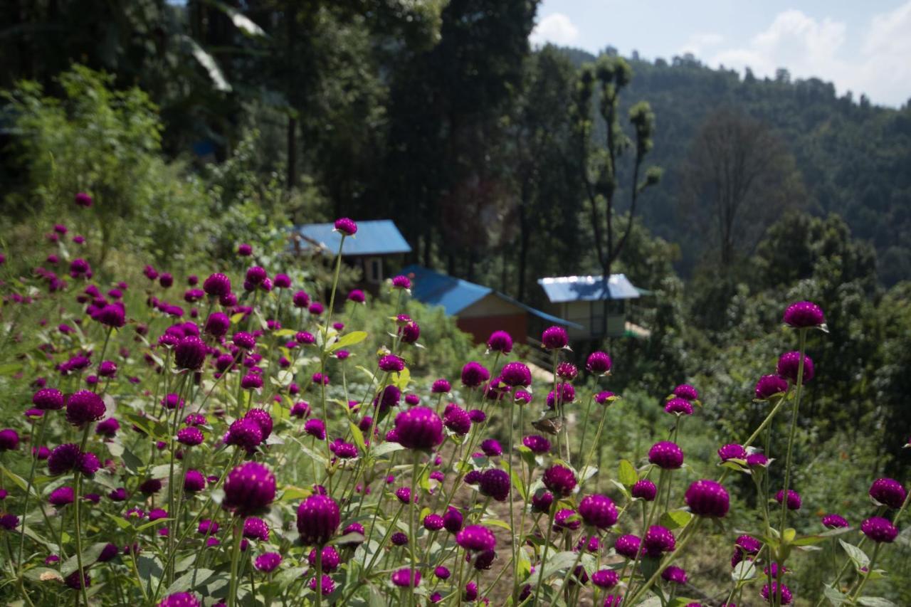 Jungle Crown Organic Homestay Nagarkot Exterior foto