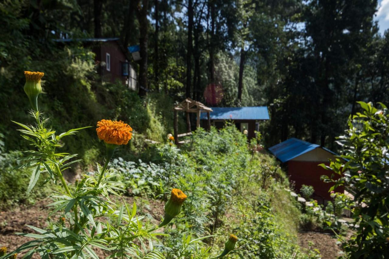 Jungle Crown Organic Homestay Nagarkot Exterior foto